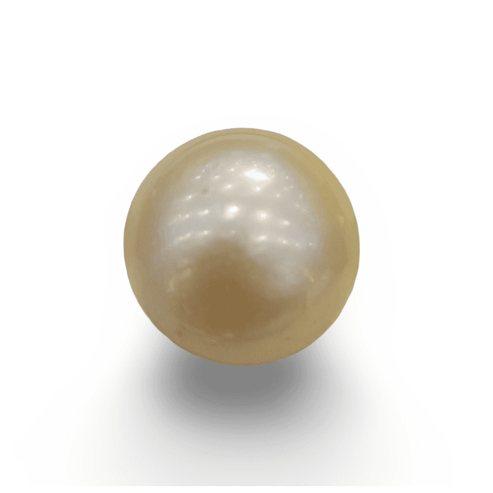 Natural South Sea Pearl – A Symbol of Elegance & Purity Summary No IGCDKBAJ42658