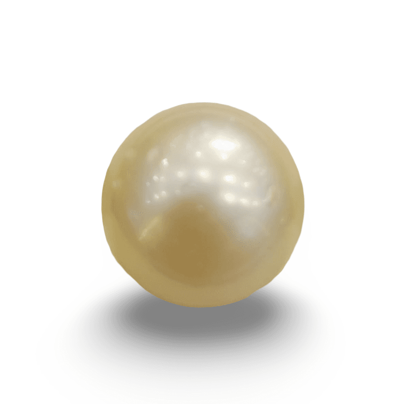 Natural South Sea Pearl – A Symbol of Elegance & Purity Summary No IGCDKBAJ42642