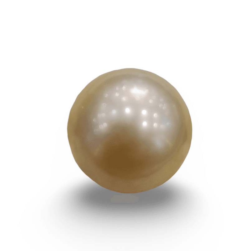 Natural South Sea Pearl – A Symbol of Elegance & Purity Summary No IGCDKBAJ42657