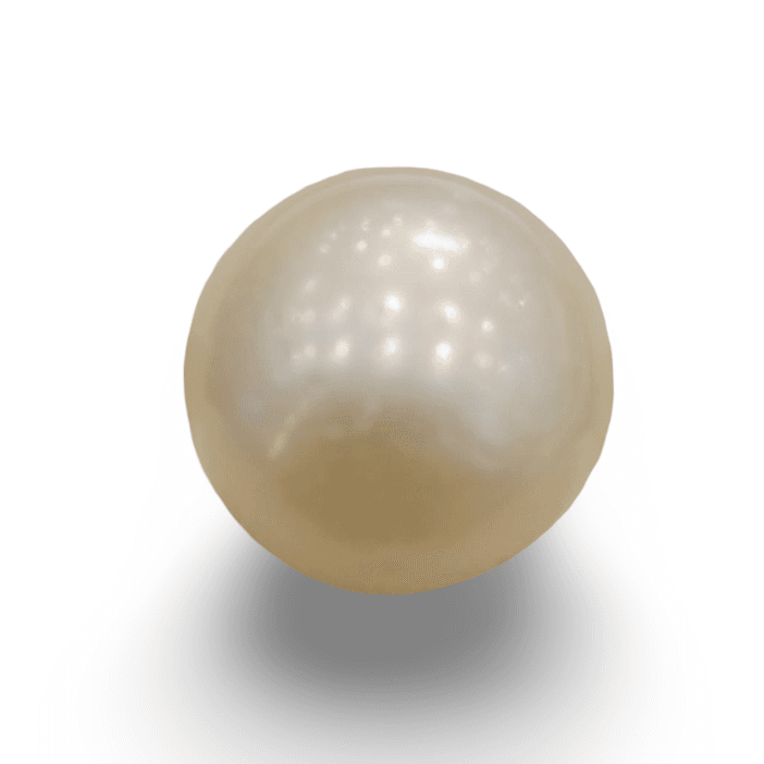 Natural South Sea Pearl – A Symbol of Elegance & Purity Summary No IGCDKBAJ42612
