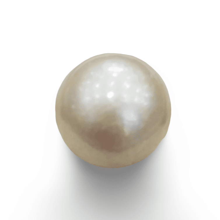 Natural South Sea Pearl – A Symbol of Elegance & Purity Summary No IGCDKBAJ48456