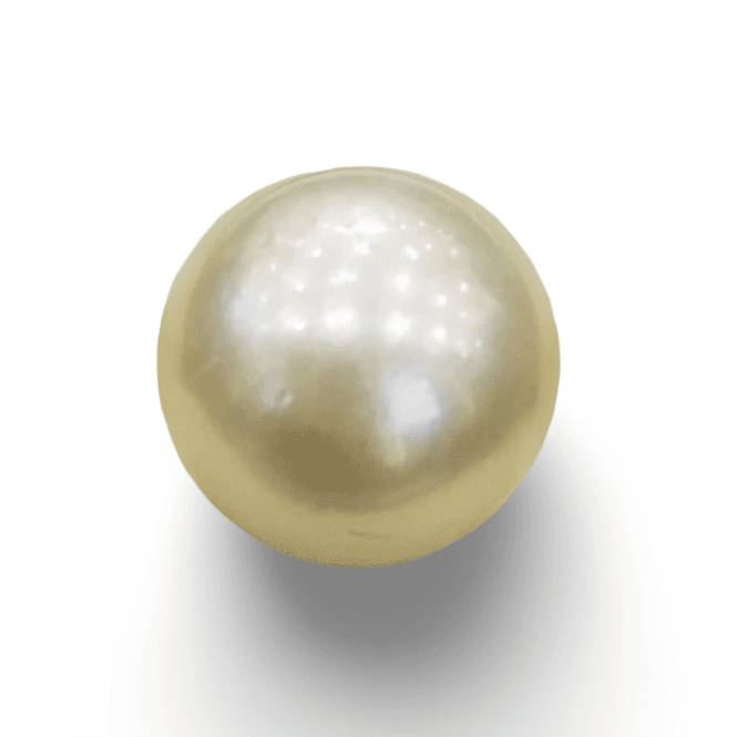 Natural South Sea Pearl – A Symbol of Elegance & Purity Summary No IGCDKBAJ44614