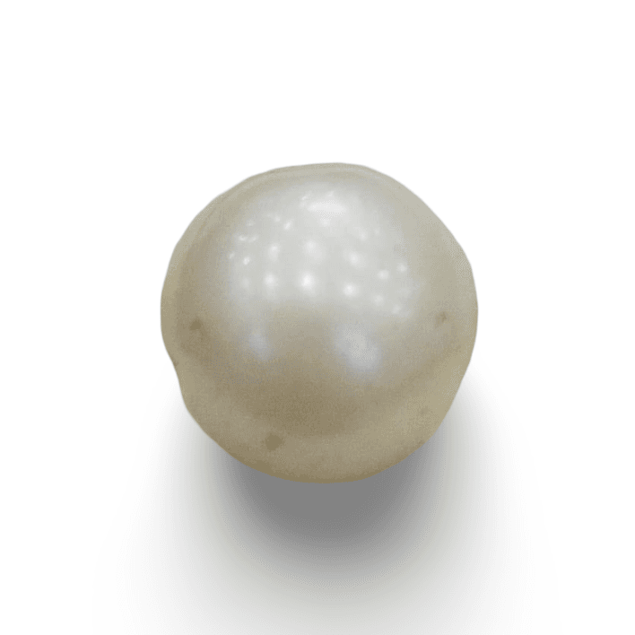 Natural South Sea Pearl – A Symbol of Elegance & Purity Summary No IGCDKBAJ48451