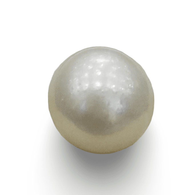 Natural South Sea Pearl – A Symbol of Elegance & Purity Summary No IGCDKBAJ42640
