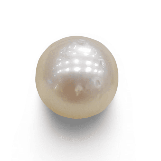 Natural South Sea Pearl – A Symbol of Elegance & Purity Summary No IGCDKBAJ42606