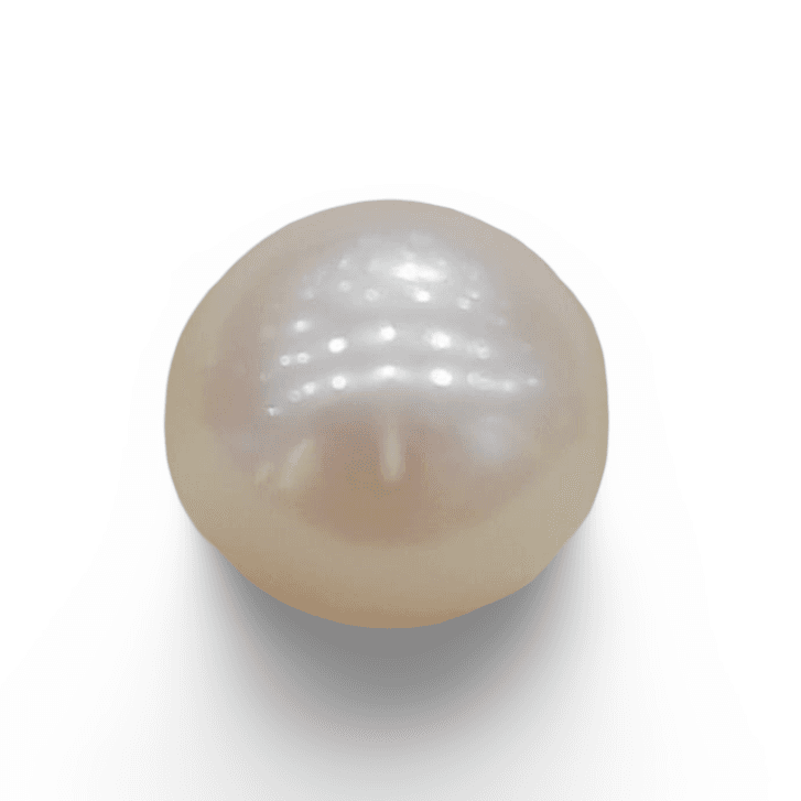 Natural South Sea Pearl – A Symbol of Elegance & Purity Summary No IGCDKBAJ42591