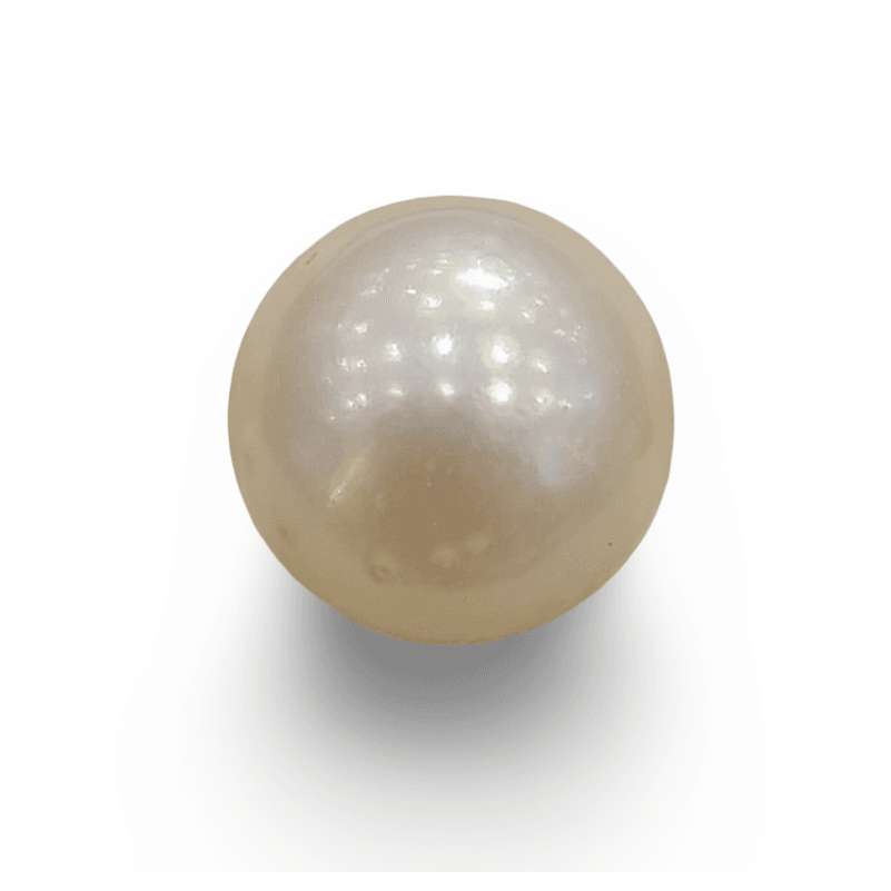 Natural South Sea Pearl – A Symbol of Elegance & Purity Summary No IGCDKBAJ54978