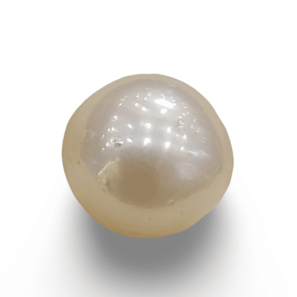 Natural South Sea Pearl – A Symbol of Elegance & Purity Summary No IGCDKBAJ42630