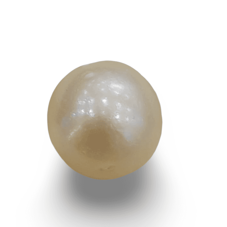 Natural South Sea Pearl – A Symbol of Elegance & Purity Summary No IGCDKBAJ42607