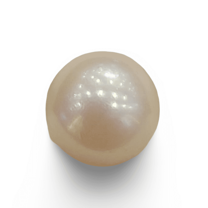 Natural South Sea Pearl – A Symbol of Elegance & Purity Summary No IGCDKBAJ42601