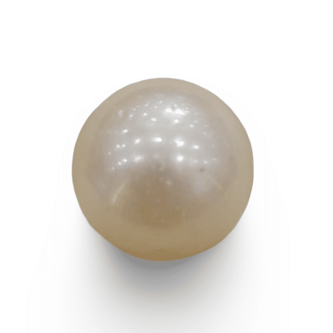 Natural South Sea Pearl – A Symbol of Elegance & Purity Summary No IGCDKBAJ42603