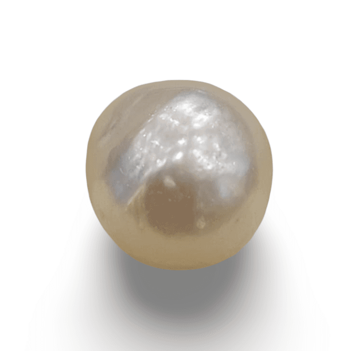 Natural South Sea Pearl – A Symbol of Elegance & Purity Summary No IGCDKBAJ42592