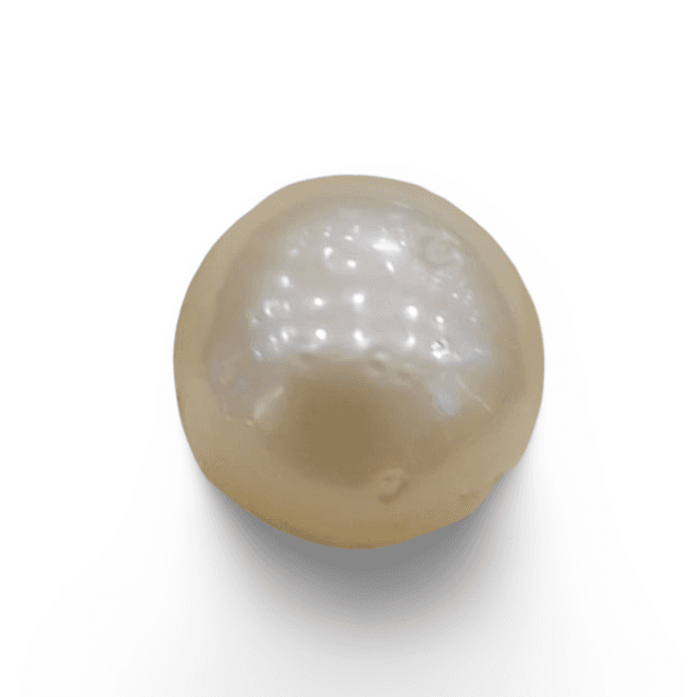 Natural South Sea Pearl – A Symbol of Elegance & Purity Summary No IGCDKBAJ42608