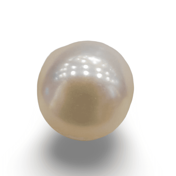 Natural Pearl (Moti): The Essence of Elegance and Serenity Summary No IGCDKBAJ42562