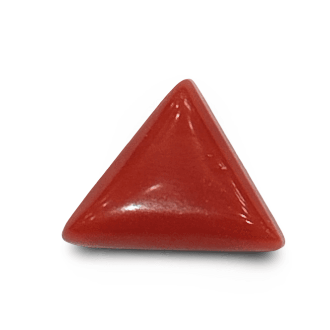 Natural Italian Red Coral |4H00| Certified Triangular Cabochon Moonga | Untreated Gemstone IGCDKBAJ42429