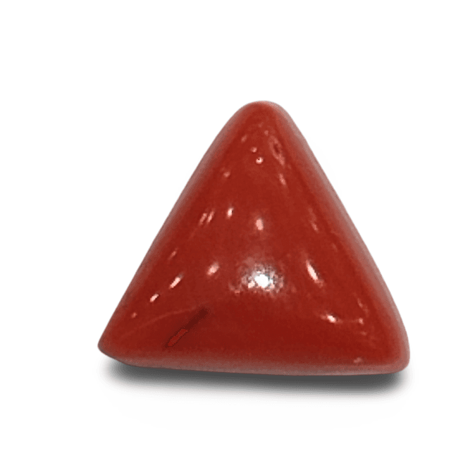 Natural Italian Red Coral |4H00| Certified Triangular Cabochon Moonga | Untreated Gemstone IGCDKBAJ42438