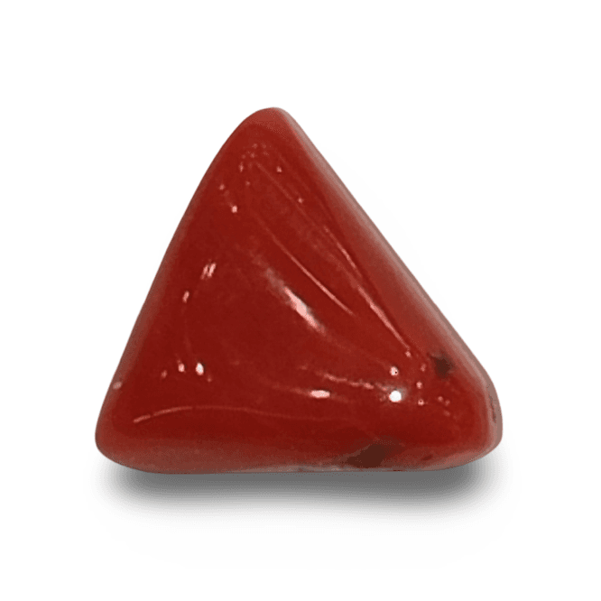 Natural Italian Red Coral |4H00| Certified Triangular Cabochon Moonga | Untreated Gemstone IGCDKBAJ42442
