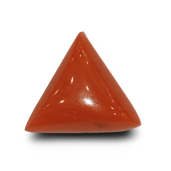 Natural Italian Red Coral |4H00| Certified Triangular Cabochon Moonga | Untreated Gemstone IGCDKBAJ42425