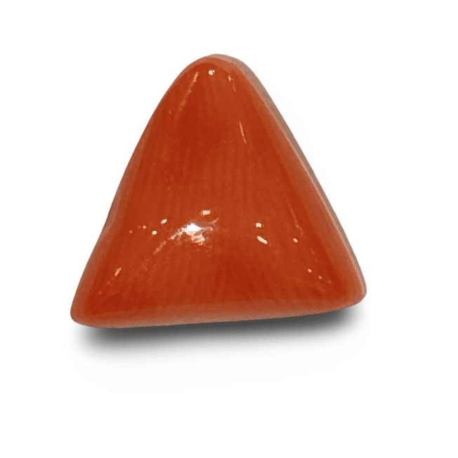 Natural Italian Red Coral |4H00| Certified Triangular Cabochon Moonga | Untreated Gemstone IGCDKBAJ42468