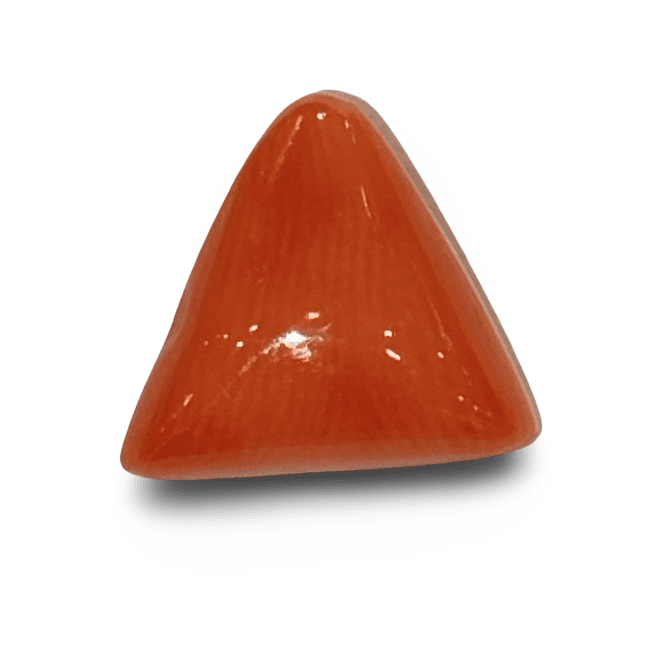Natural Italian Red Coral |7H50| Certified Triangular Cabochon Moonga | Untreated Gemstone IGCDKBAJ42466