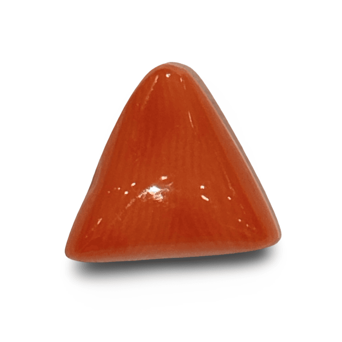 Natural Italian Red Coral |4H00| Certified Triangular Cabochon Moonga | Untreated Gemstone IGCDKBAJ42364