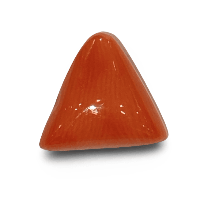 Natural Italian Red Coral |4H500| Certified Triangular Cabochon Moonga | Untreated Gemstone IGCDKBAJ42361