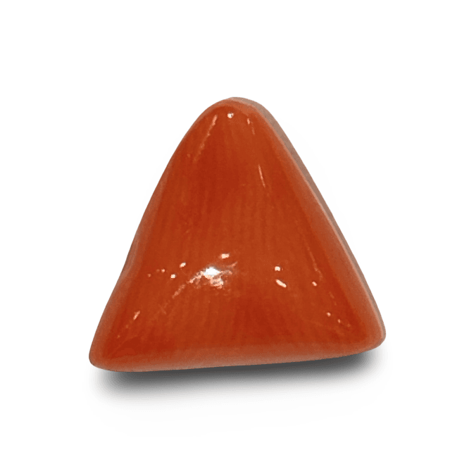 Natural Italian Red Coral |7H50| Certified Triangular Cabochon Moonga | Untreated Gemstone IGCDKBAJ42391