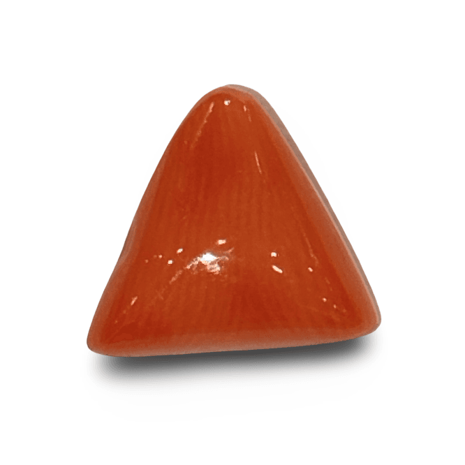 Natural Italian Red Coral |4H50| Certified Triangular Cabochon Moonga | Untreated Gemstone IGCDKBAJ42385