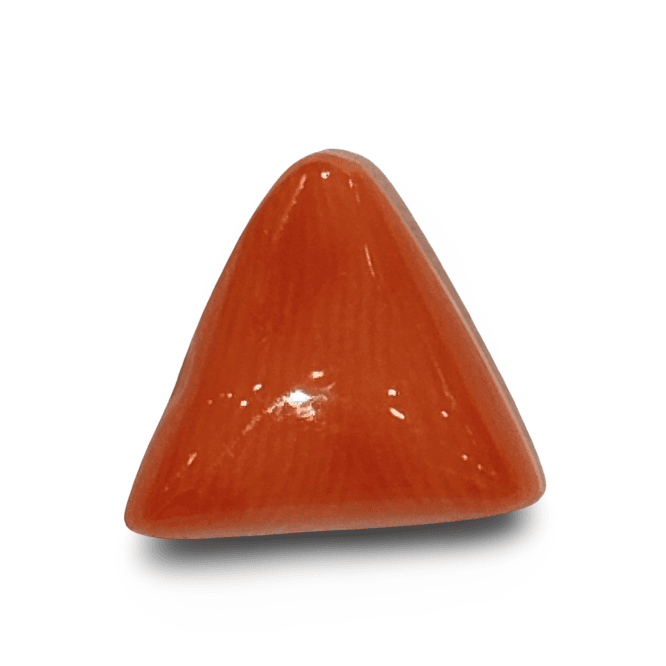Natural Italian Red Coral |4H00| Certified Triangular Cabochon Moonga | Untreated Gemstone IGCDKBAJ42396