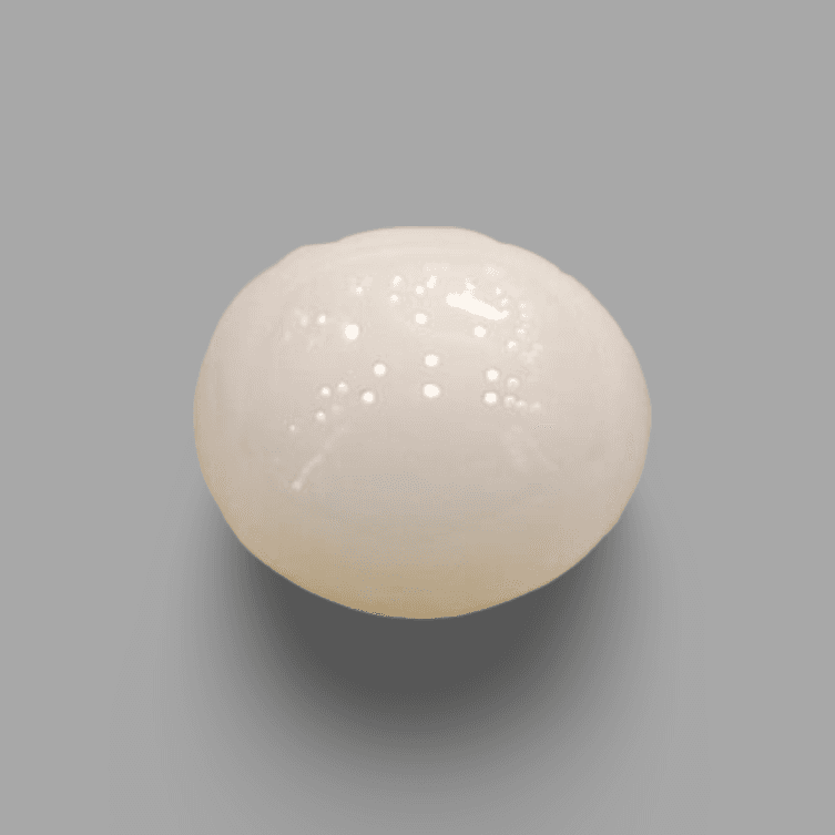 Natural White Coral: The Symbol of Peace and Strength Summary No IGCDKBAJ41478