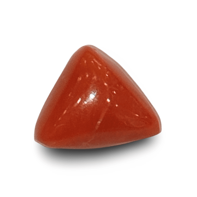 Natural Italian Red Coral |4H00| Certified | Untreated Triangular Cabochon Summary No. IGCDKBAJ42419