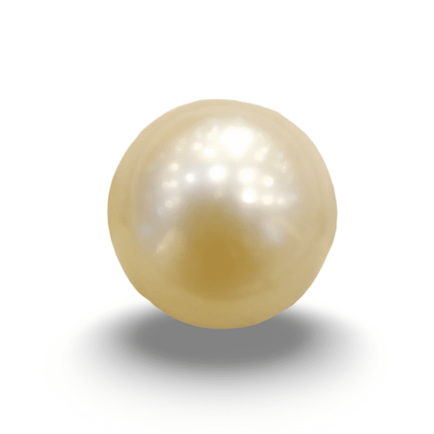 Natural South Sea Pearl – A Symbol of Elegance & Purity Summary No IGCDKBAJ42633