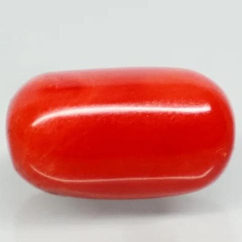 Natural Red Italian Coral |12H50| Cylindrical Specimen | Govt. Lab Certified | Report No. 12675D51967