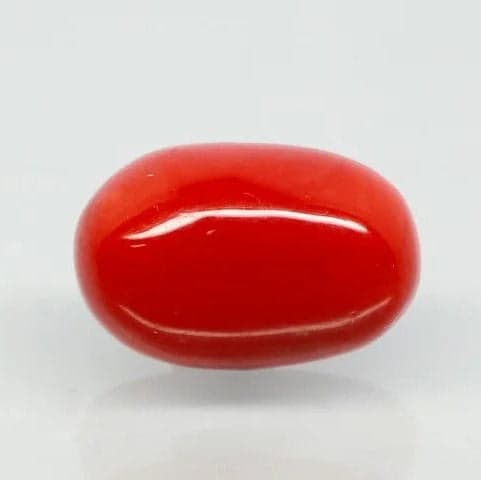 Natural Red Italian Coral |6H50| Oval Cabochon | Govt. Lab Certified | Report No. 11877D47666