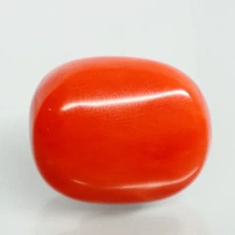 Natural Red Italian Coral |16H50| Oval Cabochon | Govt. Lab Certified | Report No. 12992D53466